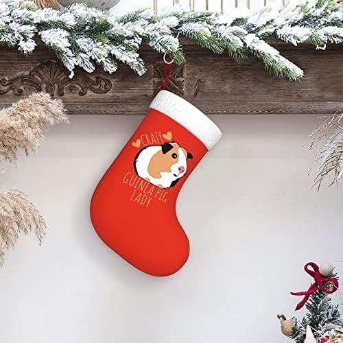 Waymay Crazy Iconea Pig Lady Christmas Squando 18 polegadas de Natal de Holding Sock Decoração de férias clássica meias