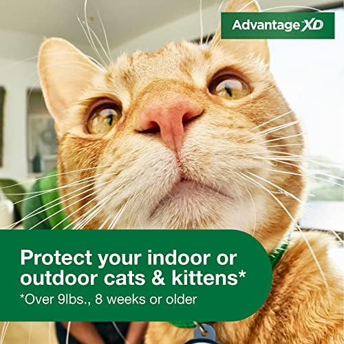 Nova vantagem XD Prevenção e tratamento de pulgas grandes para gatos acima de 9 libras. | Dose de 1 topical, cobertura