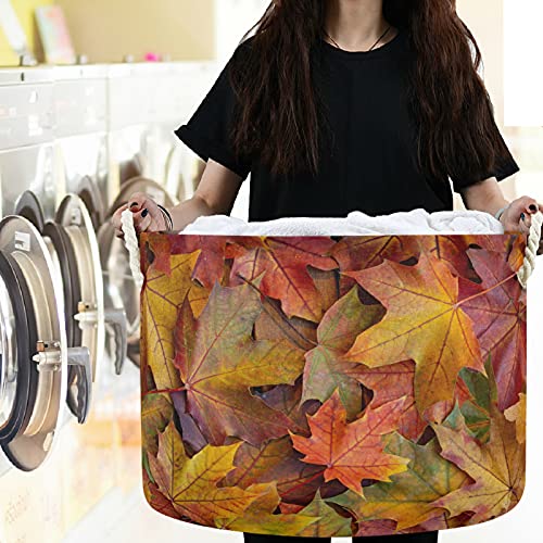 VISESUNNY Autumn Leaf Laundry Cestas de tecidos Caixa de armazenamento de armazenamento de armazenamento de armazenamento de armazenamento