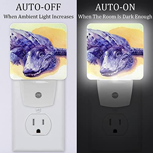Lorvies Purple Art Animal Alligator Plug in LED Night Light Auto Sensor Automuloso Dusk to Dawn Decorative Night para quarto, banheiro,