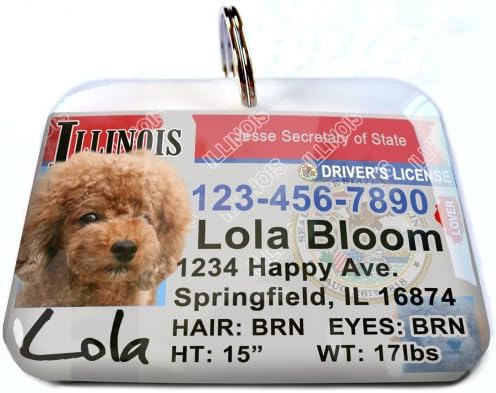 Etiqueta de carteira de motorista de Illinois para gatos ou cães por id4pet