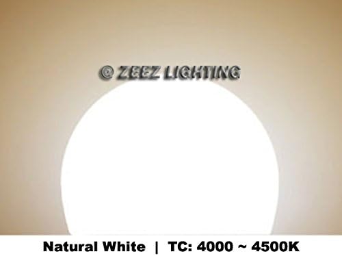 Iluminação Zeez - lâmpada A19 da lâmpada A19 em forma de A. Lâmpada incandescente equivalente de 40w - Branco natural brilhante