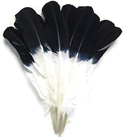 TTNDSTORE 10-12 polegadas 25-30cm de peru asa de penas de penas pretas imitação de águia penas para jóias que produzem pluns