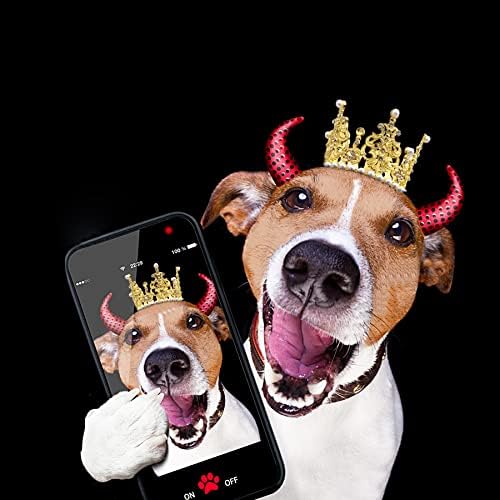 Pet Show 2pcs Crown de cachorro de cachorro de cachorro de cachorro para festa de gato para festa de aniversário