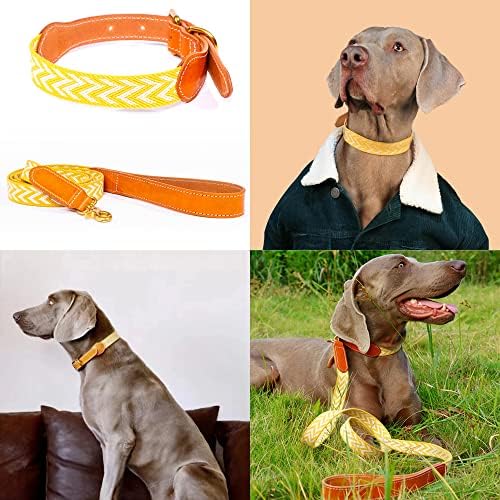 Colarinho de cachorro de couro PiCheson e coleira, cães de cães coloridos de costura de couro colares combinando coleiras,