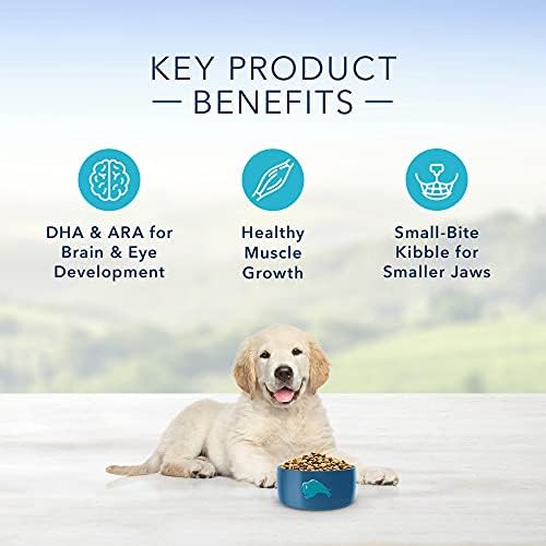 Fórmula de Proteção à Vida de Búfalo Azul Alimentos de cachorro seco de cachorro, frango e arroz integral 6 lb