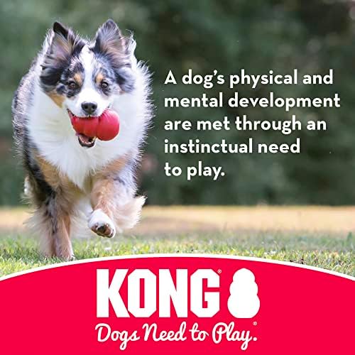 Kong Flyer - brinquedos de disco voador de cachorro de borracha duráveis ​​- para cães grandes