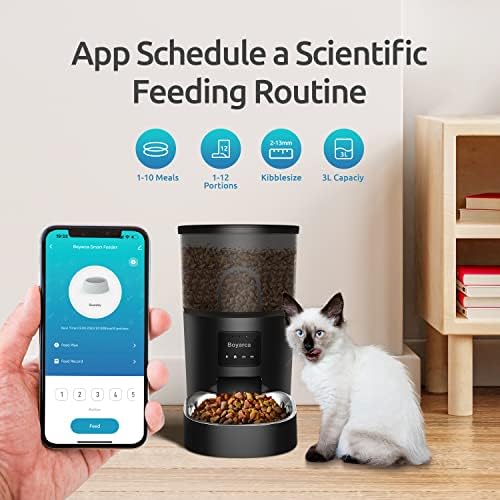 Alimentador de animais automático de boyarca, alimentador de cães automático com bolsa dessecante alimentadores de gatos