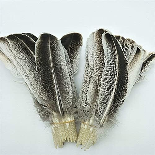 Penas de águia natural para artesanato decoração de casamento plumas de carnaval DIY Decoração de artesanato para acessórios para