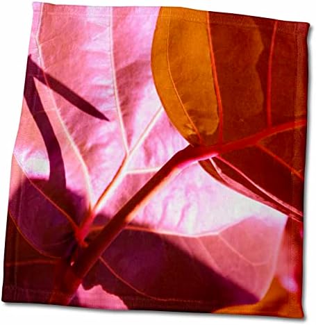 3drose florene macro natureza - uva -mar rosa - toalhas
