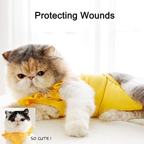 Cat Spay Rrecovery Suit Feminino Cats Professional Recovery Suacu para feridas abdominais Cat Surgery Recovery Suacure após o desgaste