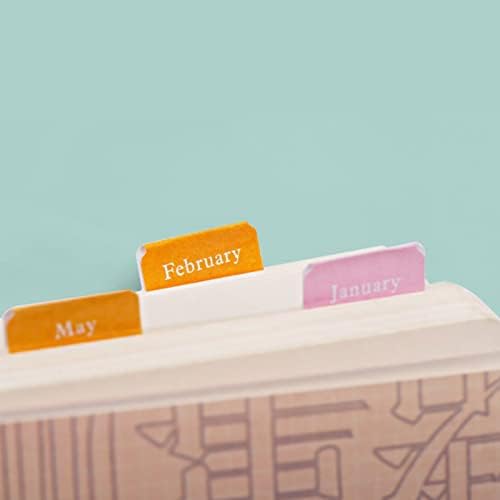 Adesivos de calendário mensal rótulos de rótulo colorido Rótulos de divisor de rótulos de 12 meses adesivos de índice para DIY