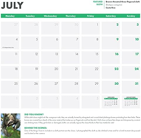 Calendário de parede de preguiças 2022: o único calendário que beneficia a conservação da preguiça!