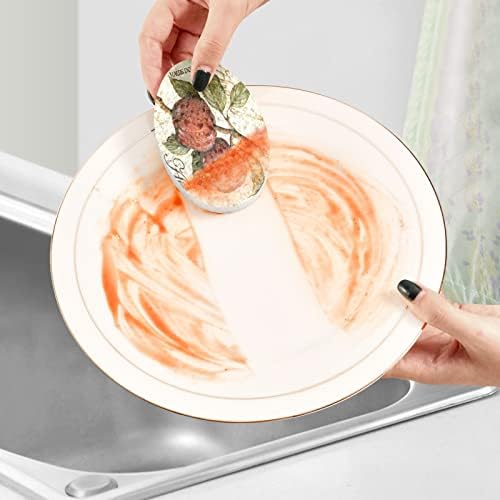 Coikll Apple Kitchen esponjas odor de limpeza esponja sem arranhão para limpeza de pratos de limpeza - 3 pcs