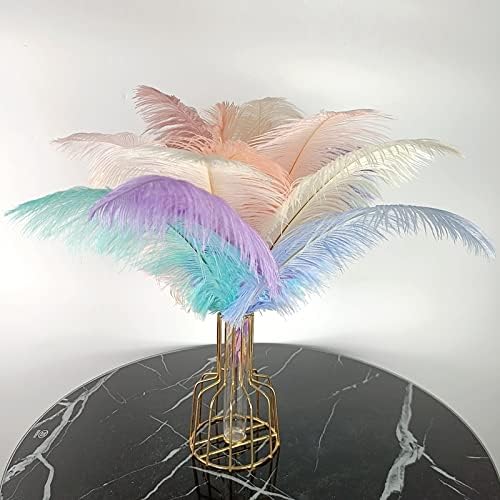 Zamihalaa - 10pcs/lotes de penas de avestruz colorida Avestruz branca Avestruz Decoração de penas de peças centrais Vasos