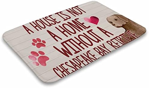 Banho tapete Uma casa não é uma casa sem um chesapeake bay retriever portas tapetes fofos de cachorro de cachorro de cachorro