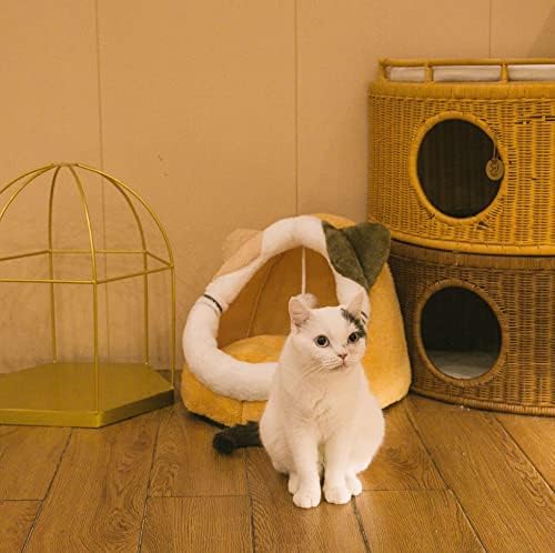 Camas de gato quzcey para gatos internos, cabana de gato de caverna de gato cabana de gato com travesseiro almofadado