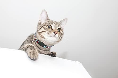 Lkyadm Breakaway Cat Collar com Bell for Puppy Dog Acessórios para cães colar de gatinho menino menino colarinho