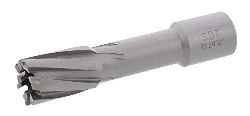 Steel Dragon Tools® DNTX-D0750 3/4 x 2 Tip Cutter anular 3/4 Weldon
