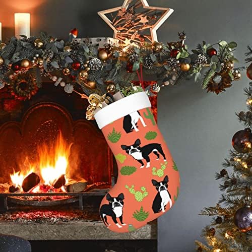 Aunstern Christmas meias de Boston Terrier cães cactus laranja lareira de dupla face pendurada meias