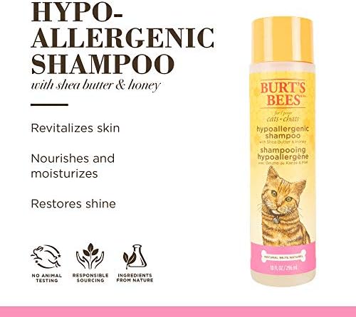 Burt's Bees for Cats hipoalergênico shampoo de gato com manteiga de karité e mel | Melhor shampoo para gatos com pele