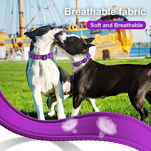 Colar de cachorro acolchoado pceotllar com tag reflexivo cães ajustáveis ​​colarinhos de nylon macio neoprene super leve respirável