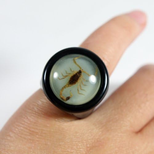 Realbug Golden Scorpion Black Ring Tamanho 7