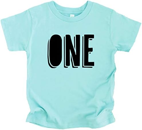 Camisetas e raglans em negrito de 1º aniversário para meninas e meninos no primeiro aniversário