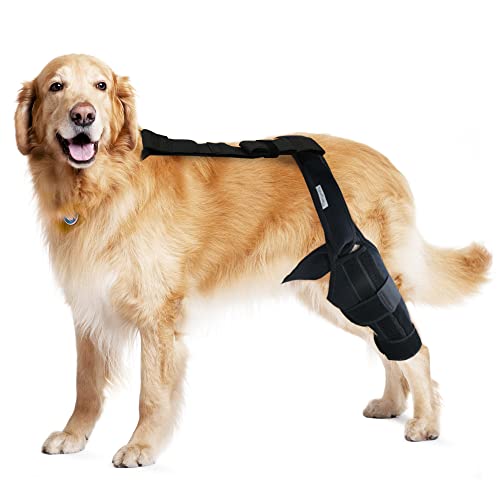 Merrymilo Dog Knee Brace para apoio com lesão do ligamento cruzado, dor nas articulações e dores musculares, melhor