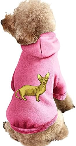 Sphynx Sphinx gato gatinho de uma peça de cão roupas de roupa de estimação com acessórios para animais de estimação para cachorrinho