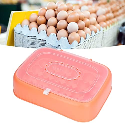 Bandeja Topiky de 24 ovos, recipientes visíveis de ovos, ranhuras sem deslizamento, design de casca abds, ventilação laranja
