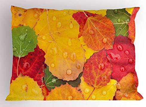 Ambesonne Fall Folhas Folhas SHAM, Visão geral FECTADA GERATURA DE Folhas com Rainds Photo Macro sazonal de outono, Tamanho decorativo