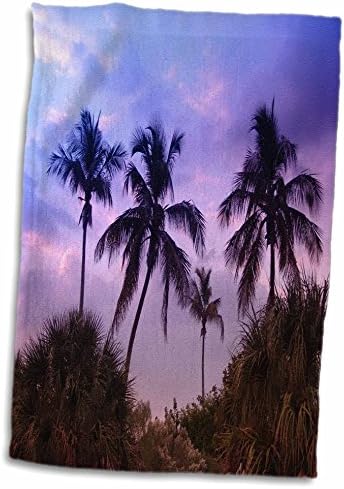 3DROSE FLORENE TROPICAL PAVAGEM - Violet tropical - toalhas