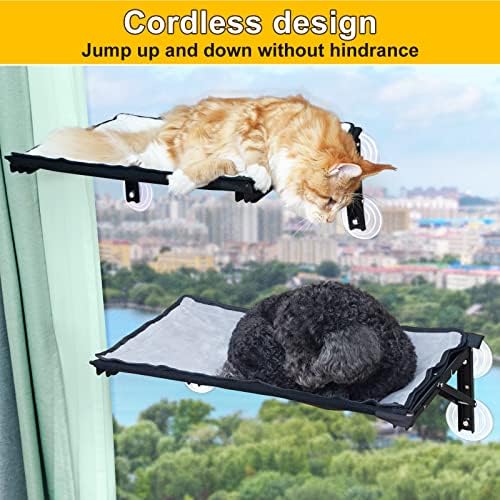CAT Janela poleira cama de sucção Copo Kitty Hammock Seat para gatos grandes Cats Metal Frame Atualização Design dobrável Easy