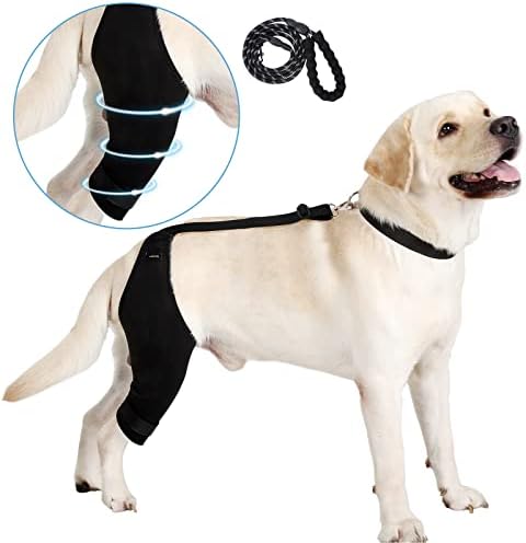 A cinta de joelho para cães noillow, cinta para a perna de cachorro para entorse ACL, CCL, artrite- mantém a articulação quente e estável,
