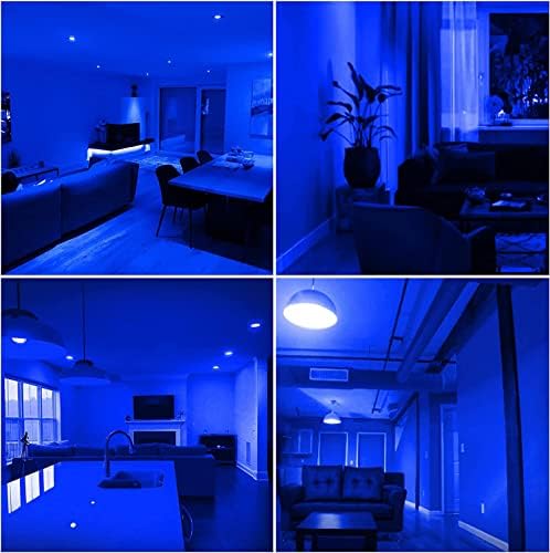 Edearkar G45 lâmpada azul LED BULBA BULBA BULBO 3W GLOBO E26/E27 Base, 110V G45 Color LED Blue Night Bulb Holida