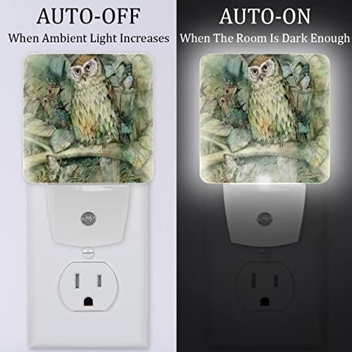 Rodailycay Sensing Light Night Light Owl, 2 Packs Night Lights Conecte-se na parede, luz noturna de LED branca quente para viveiro,