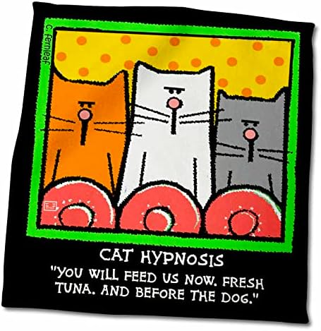 Hipnose de gatos 3drose, gatos de desenhos animados, gatos, gatos, gatos engraçados, gatinhos. Animais de estimação. -
