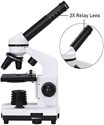 Composto Profissional de Microscópio Biológico do Microscópio Biológico Microscópio Microscópio Microscópio Biológico