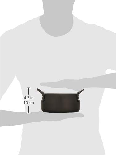 Wahei Freiz Ty-044 Tsubamesanjo Tempura Pot, Fry, 7,9 polegadas, ferro, padrão comum, compatível com indução