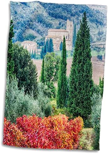 3drose Itália, Toscana, vinha e oliveiras com a abadia de Santantimo - toalhas