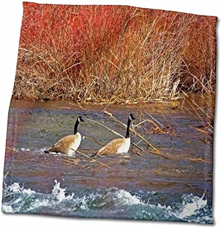 Fotografia 3drose de dois gansos em um lago arborizado - toalhas