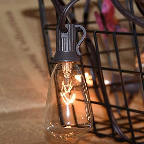 Lâmpadas de 25 pacote Edison, ST35 Substituição de lâmpada de vidro transparente, lâmpadas de base de parafuso de 5w e12 para luzes