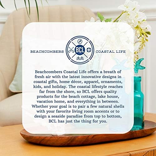 Beachcombers SS-BCS-04902 Ornamentos