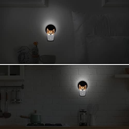 DXTKWL Espreitando Shiba Inu Dog Round Night Lights 2 pacote, plug-in fofo plug-in nightlights Auto Dusk Auto to Dawn Sensor Lamp