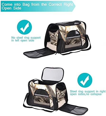 Portador de animais de estimação Owl Owl Soff-lateral Pet Travel portadores de gatos, cães cachorros conforto portátil