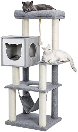Dhdm Cat Kitten arranhando a árvore de posta