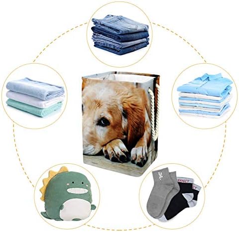 Cão de cão de animal Grande lavanderia cesto de armazenamento dobrável para quarto berçário de bebê