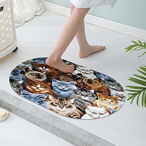 Tapete de banho de terra de diatomáceas, um bando de gatos com rugas macias de rugas macias tapetes de piso de piso