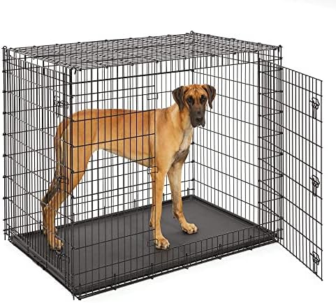 Pacote de caixa de cachorro de porta dupla ginormous sl54dd do Midwest para xxl cães raças + casas do meio-oeste para animais